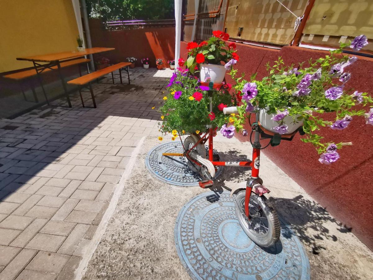 1 For Rent Hotell Cluj-Napoca Exteriör bild